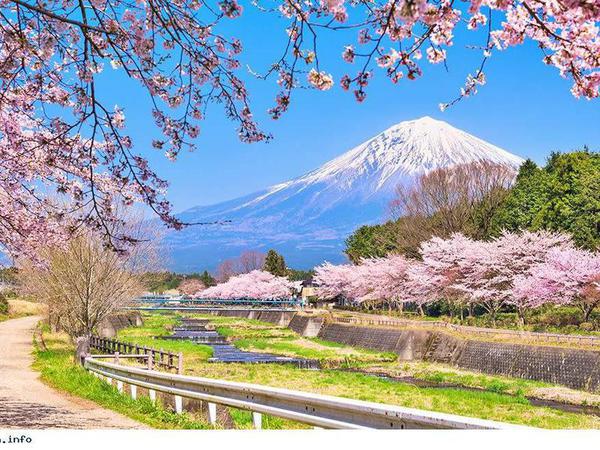 Tokyo – Núi Phú Sĩ – Nagoya – Osaka
