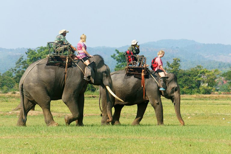 Tour Buôn Mê Thuột – 2 ngày 1 đêm