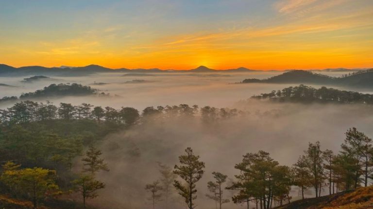 Tour Đà Lạt – Nha Trang 5 ngày 4 đêm (Dinh Bảo Đại + Thiền Viện Trúc Lâm)