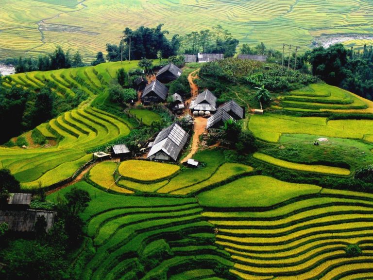 Hà Nội – Sapa – Lao Chải – Tả Van 3 ngày 2 đêm